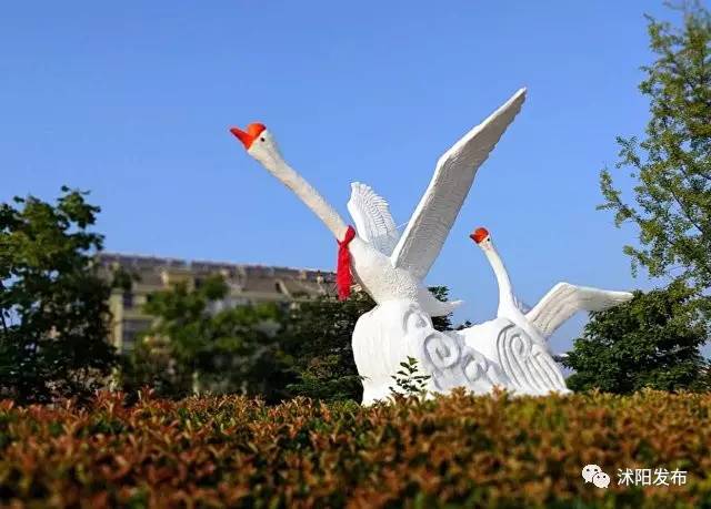 喏，送你一抹“沭阳蓝”……