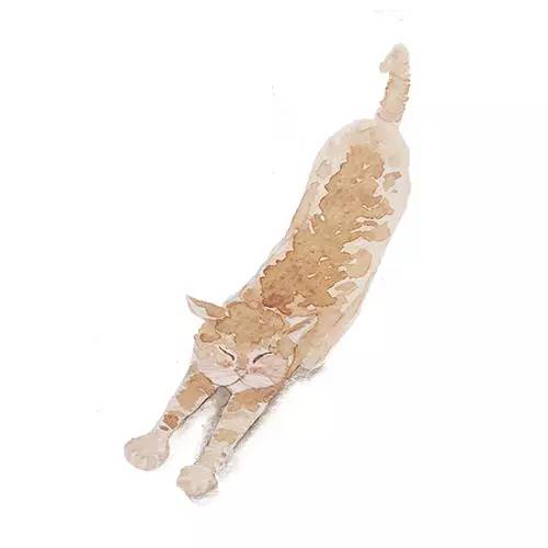 绝对干货！浦东各大医院的夏日良药，便宜又好用