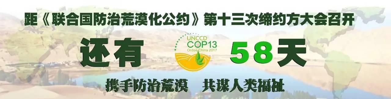 东胜新闻播报,东胜实时热点