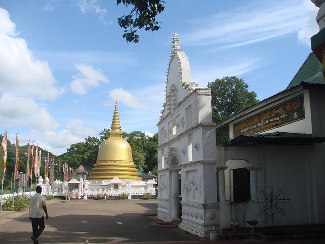 在斯里兰卡旅游必做的10件事,在斯里兰卡的难忘旅行经历