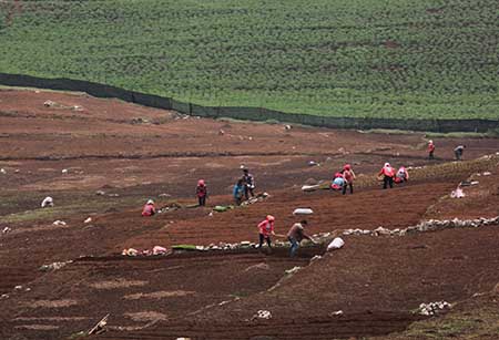 从神坛跌到谷底的片段,从神坛跌入泥潭