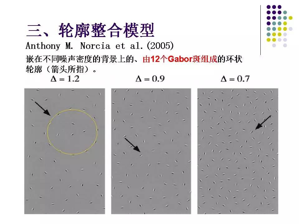 大龄弱视斜视训练,斜视弱视学网课推荐