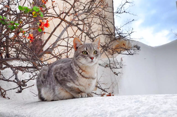 远离城市的喧嚣在静谧的时光里,远离城市的喧嚣静静的感受海浪
