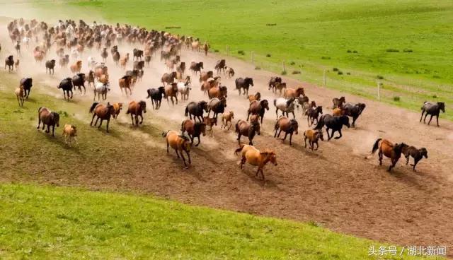 武汉到西安的高铁票,武汉到兰州高铁票