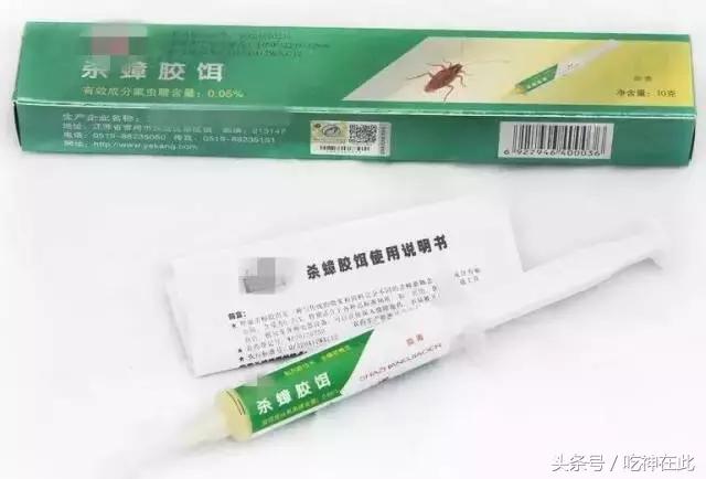 排名第一的灭蟑螂方法,十大灭蟑螂方法