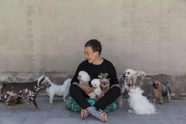 狗生如梦｜ONE实验室