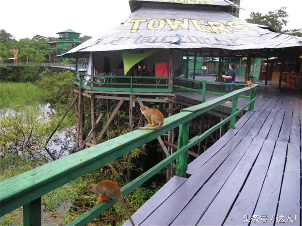 达人J：巴西的盛宴