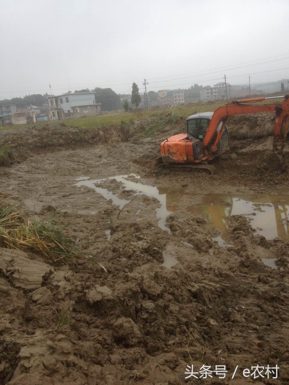 致富经养石蛙近期视频,cctv7致富经2016