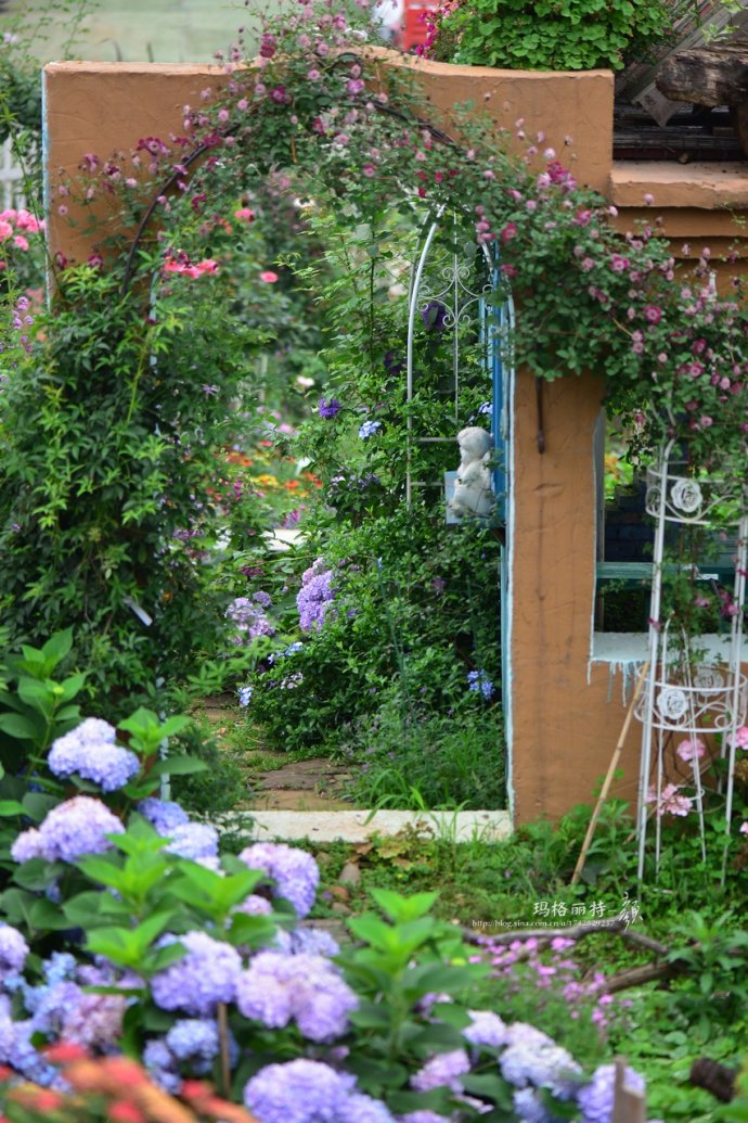 成都玛莉亚色彩花园,成都玛莉亚色彩花园电话