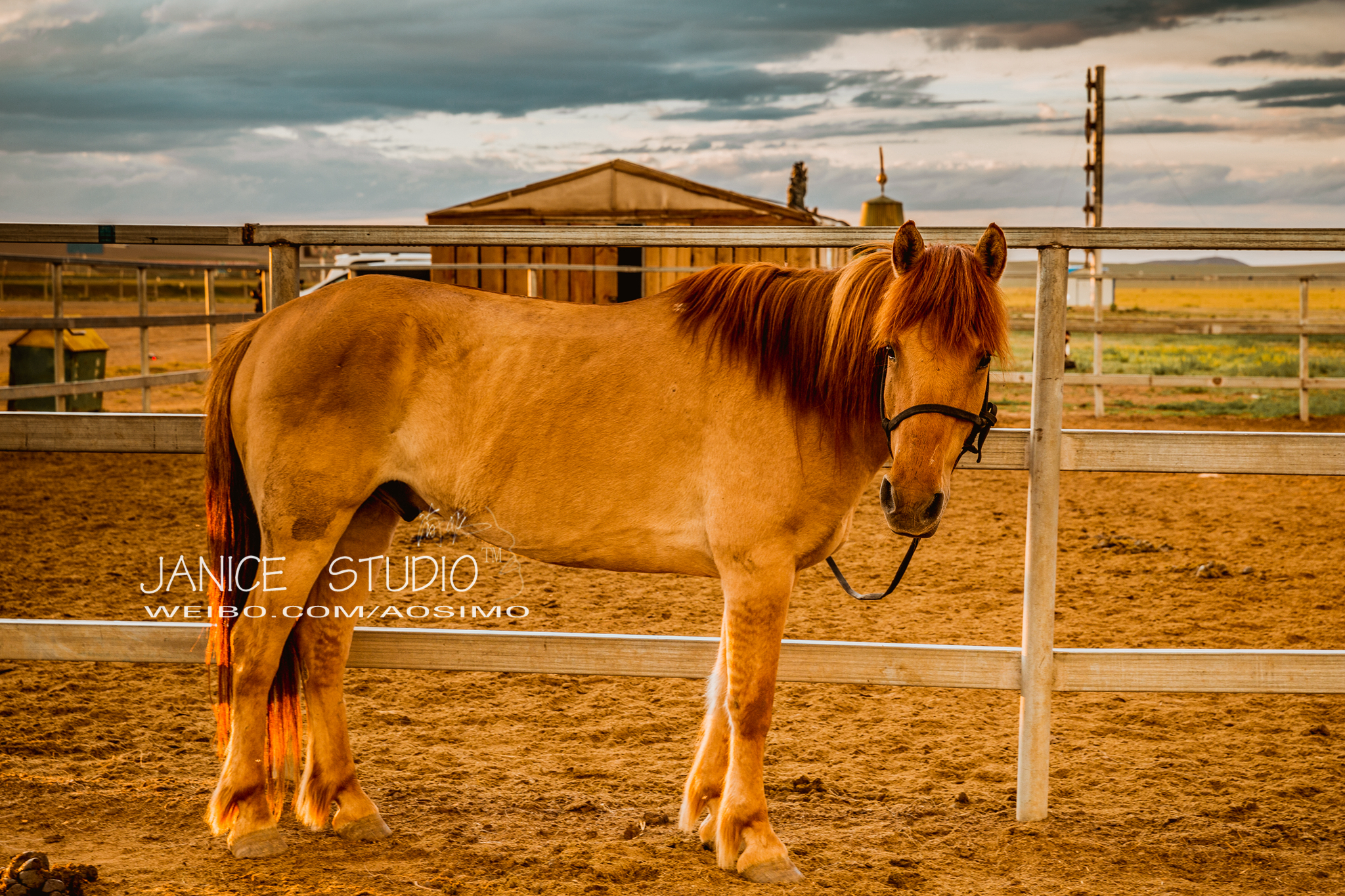 锡林郭勒草原旅游自驾攻略,锡林郭勒大草原自驾旅游攻略