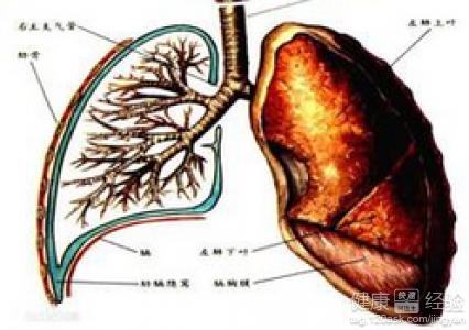 鸡呼吸道疾病用药,急性上呼吸道感染细菌感染用药