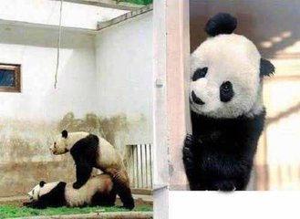 我就像一只趴在玻璃窗上面的苍蝇,我就像一只趴在玻璃上的苍蝇