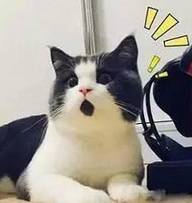 万达甩卖的地产有哪些,万达为什么要卖万达城