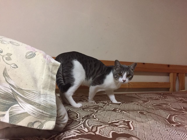 青岛毕业旅行三日游,毕业旅游自由行攻略