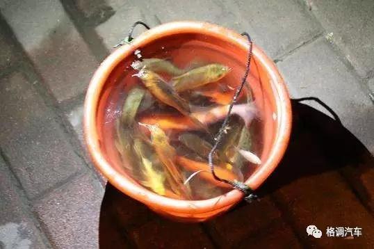 青岛毕业旅行三日游,毕业旅游自由行攻略