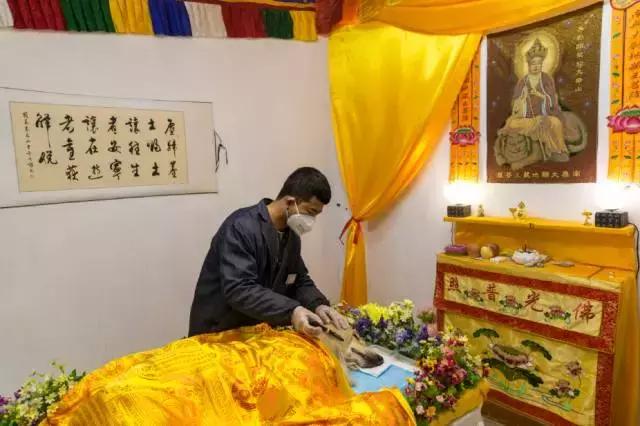 狗生如梦｜ONE实验室