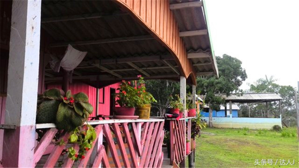 达人J：巴西的盛宴