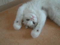 满心欢喜地等了这个快递整整1个月，却在拆开包装的瞬间傻了眼