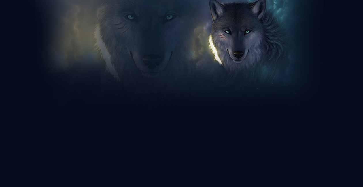 一个人野外遇到狼群,一个人在野外碰到狼群怎么办