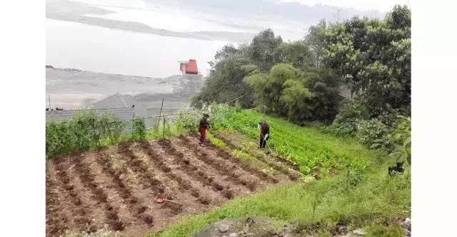 这家从长江边搬到成都的河鲜，不知收获了多少人的胃