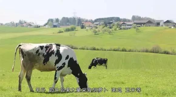 经常担心自己买到假奶粉,4招教你辨别假奶粉