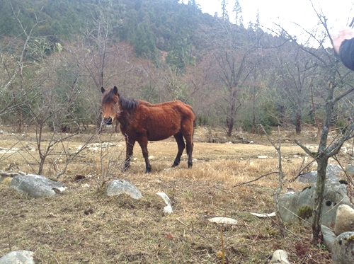 9天来回318川藏线自驾攻略,川藏线5天自驾游详细攻略