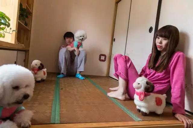 狗生如梦｜ONE实验室