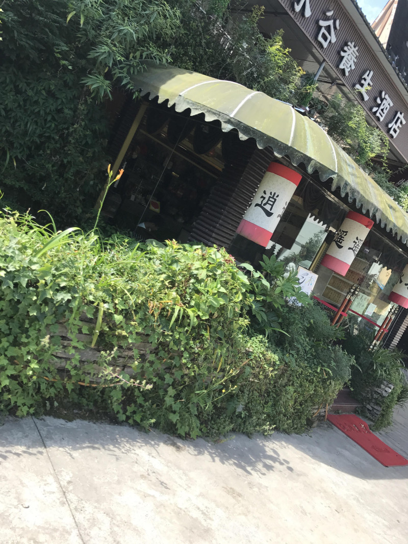 花水湾温泉旅游攻略一日游,花水湾温泉小镇一日游攻略