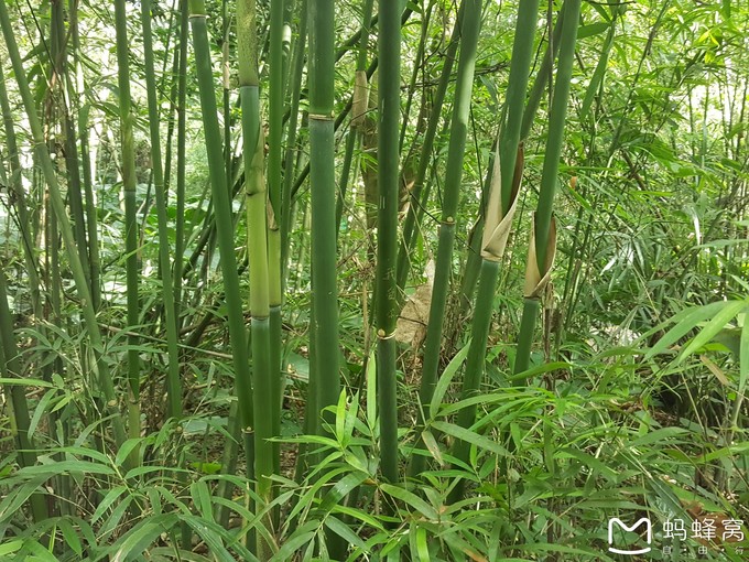 三亚10天行程攻略亲子,一家四口三亚七日游