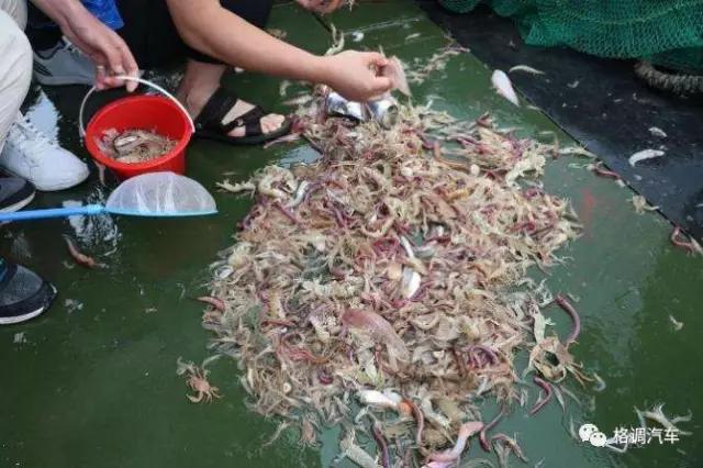 青岛毕业旅行三日游,毕业旅游自由行攻略