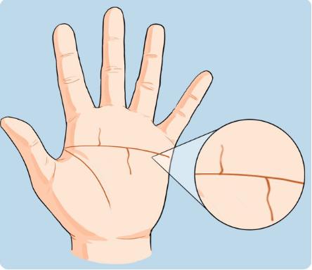 左掌权右掌财，双手断章今生富贵挡不住