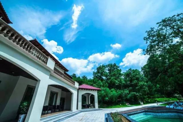 隐藏在森林里的现代别墅,隐藏在深山的豪宅