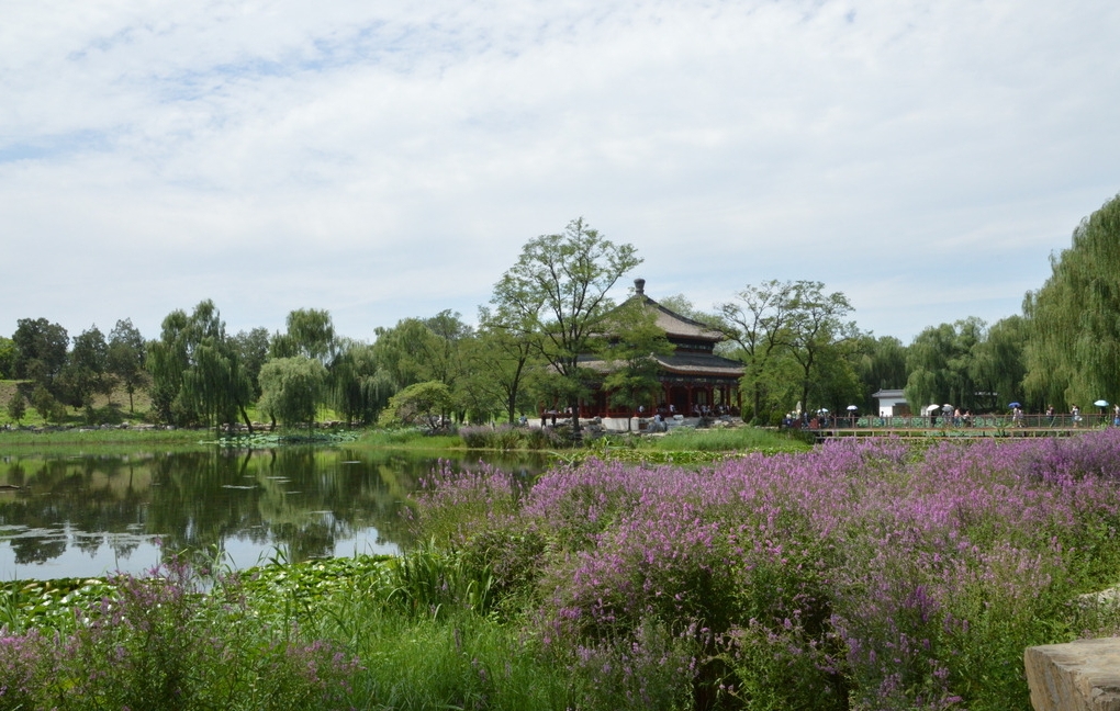 一个被历史毁掉的盛世园林:未被重建,何不夏季去走一走,依旧美不胜收