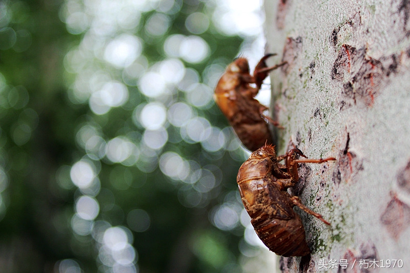 东营市摄影团购,摄影广饶