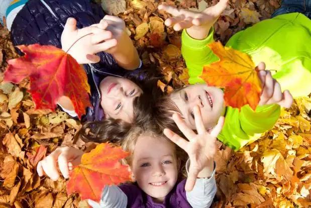 鍕哄璁插骇鍏ㄩ泦瑙嗛,鍕哄