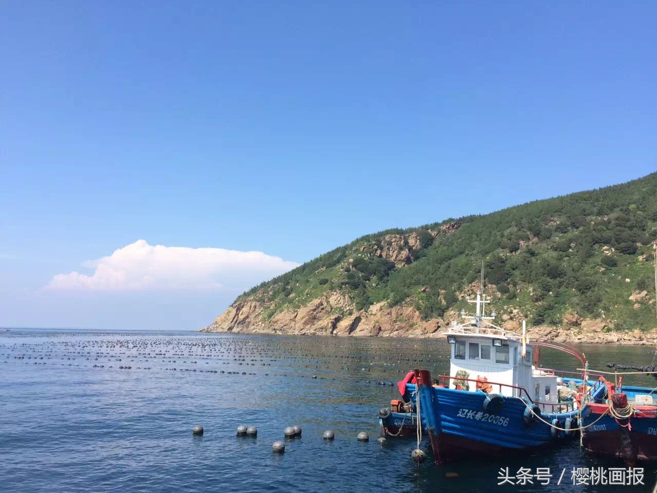 夏天大连去哪个海边可以玩水,大连玩水旅游攻略