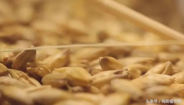 品味生命之美歌曲,生命之水感悟