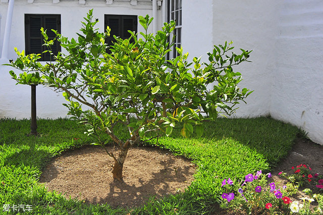 海陆皆猛虎路虎百慕大美洲帆船赛之旅