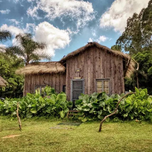 长隆攻略广州长隆欢乐世界攻略,广州长隆最全游玩攻略及费用