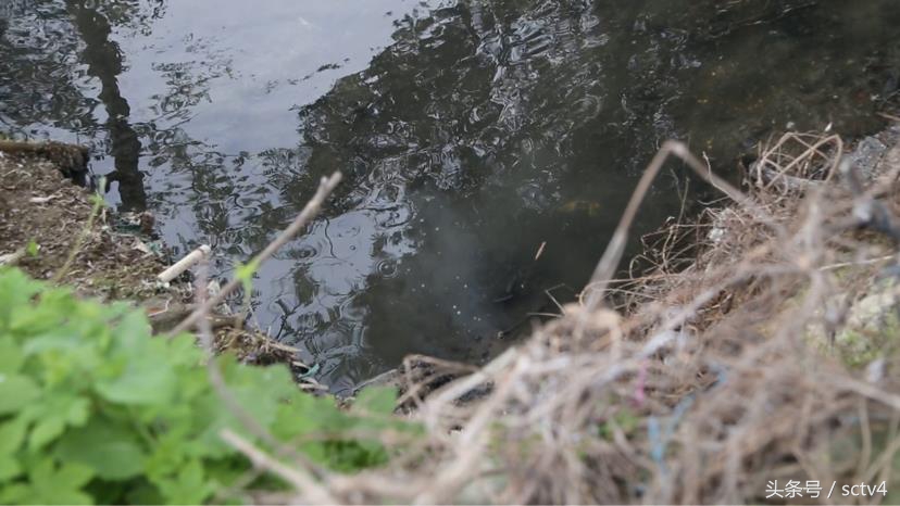 污水设施排查整改方案,污水管问题整改