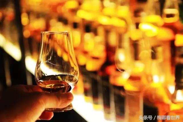 品味生命之美歌曲,生命之水感悟