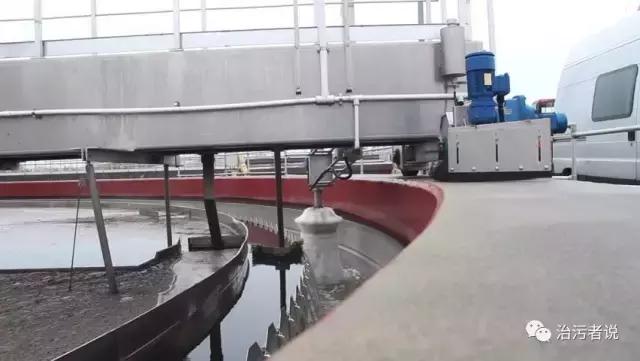 生物藻污水处理,绿藻能处理污水吗