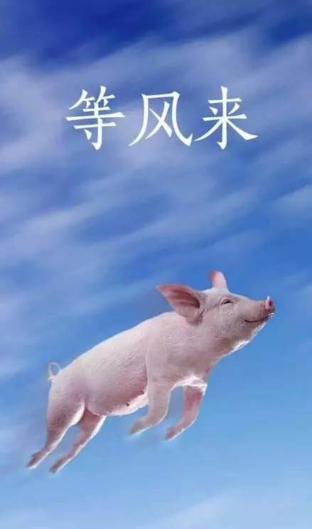 订了一桶爆米花,等了一年才收货