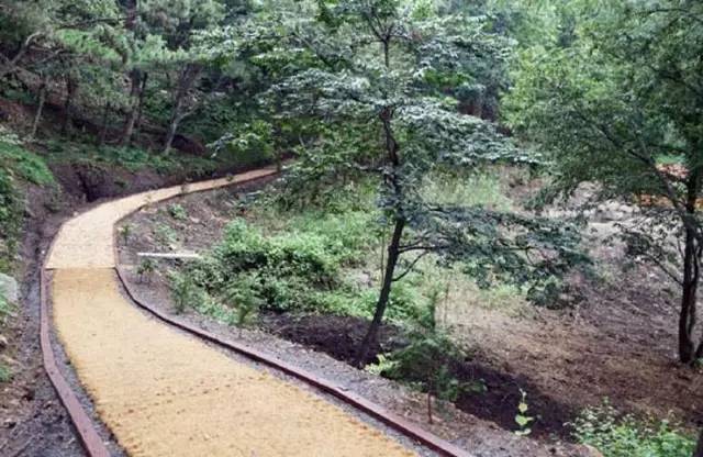 韩国政府免费购物,韩国食品有什么值得代购的