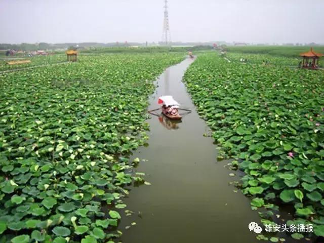 雄安新区必去的景点推荐一日游,去雄安新区有什么好玩的好逛的