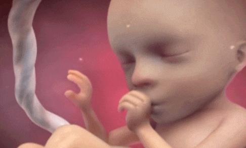 夏天怀孕备孕注意什么,备孕看过来这些受孕小妙招赶紧get