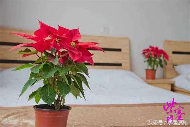 京津冀旅游农家院攻略,紫塞农家院门票