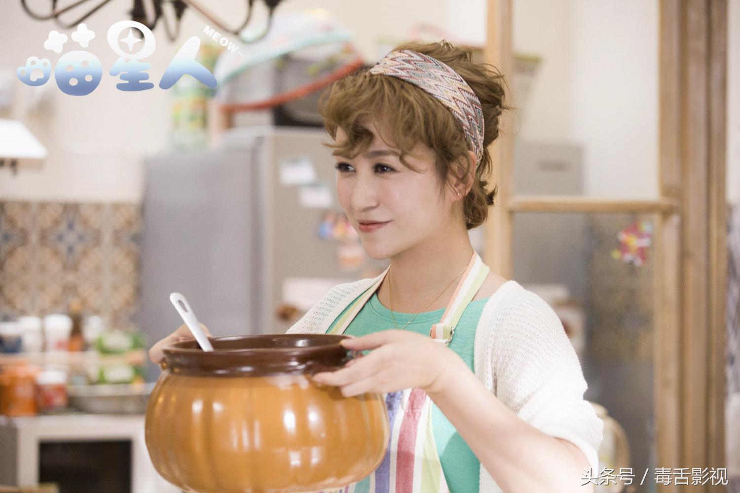 五句话夸猫咪可爱作文,关于喵星人的好听句子简短