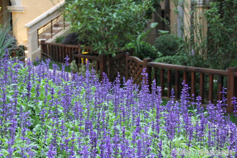 好望山别墅装修,海逸装修效果图