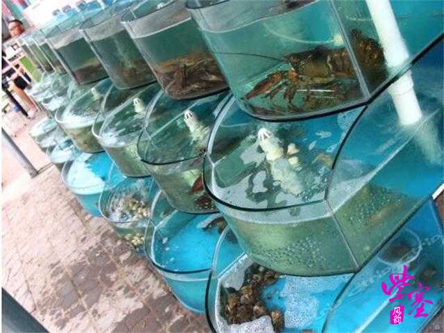 唐山乐亭浅水湾旅游攻略,京津冀旅游攻略一日游路线